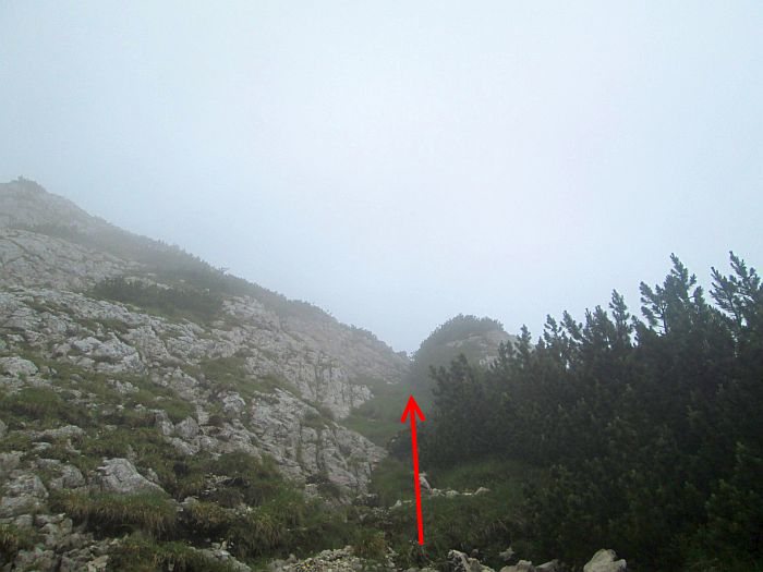 /cioranga_mare/img_7891.jpg