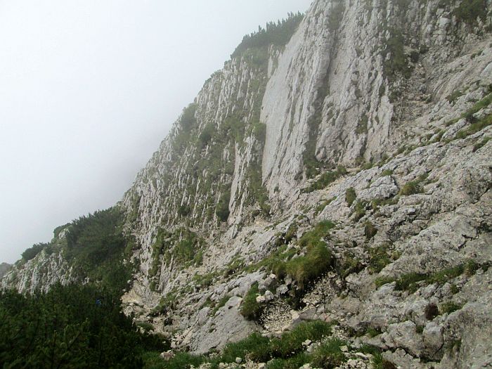 /cioranga_mare/img_7894.jpg