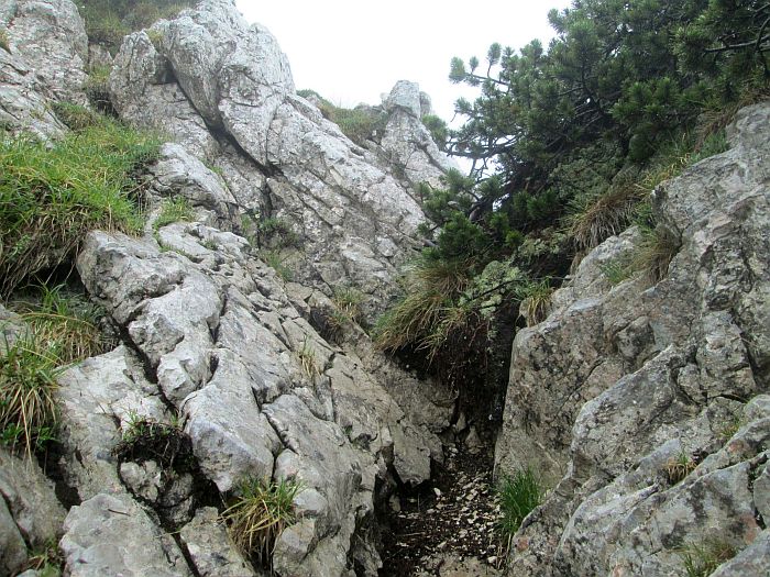 /cioranga_mare/img_7897.jpg