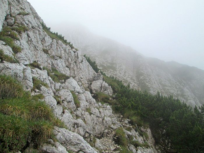/cioranga_mare/img_7900.jpg