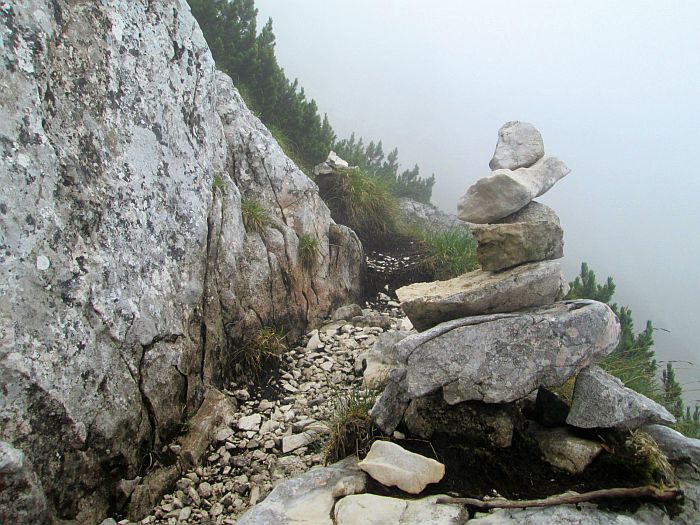 /cioranga_mare/img_7903.jpg