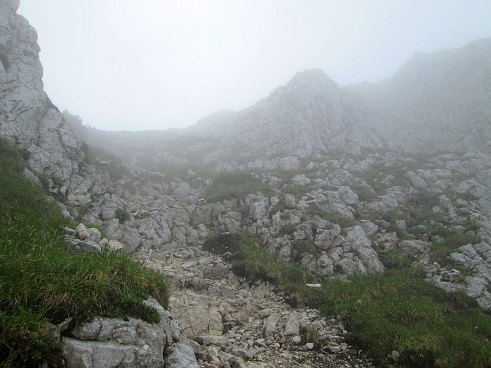 /cioranga_mare/img_7908.jpg