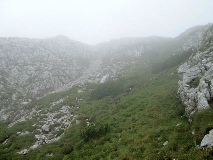 /cioranga_mare/img_7916.jpg