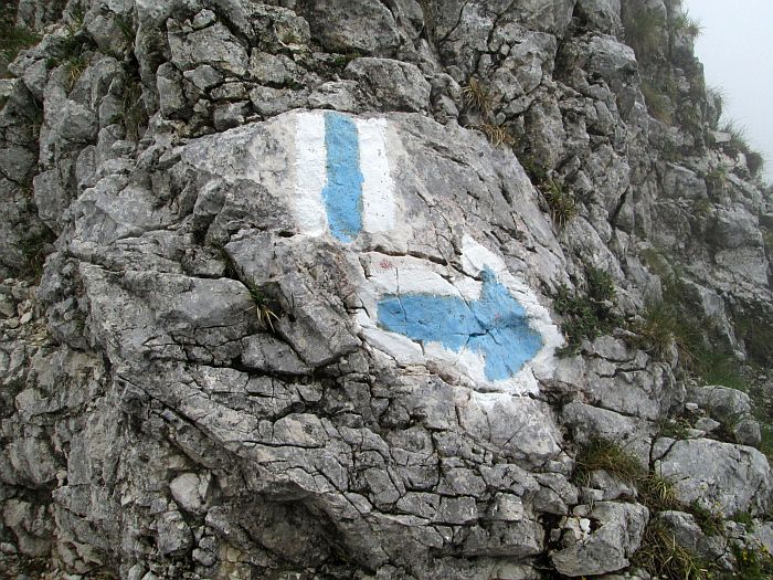 /cioranga_mare/img_7974.jpg