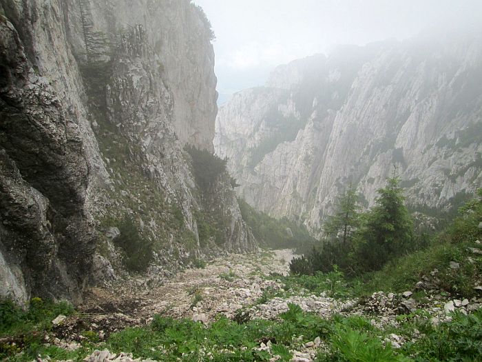 /cioranga_mare/img_7977.jpg