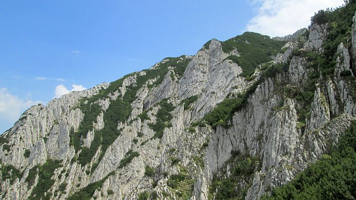 /cioranga_mare/img_8006.jpg