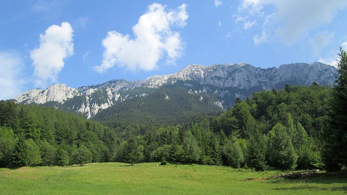 /cioranga_mare/img_8102.jpg