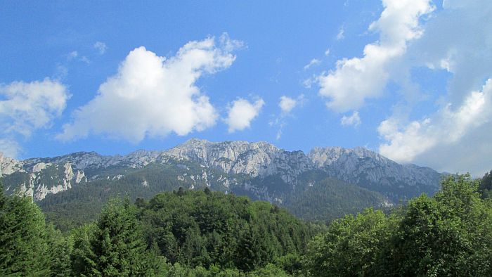 /cioranga_mare/img_8106.jpg
