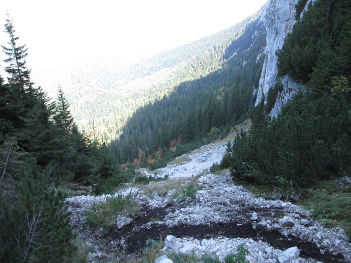 /lanturi/img_0429.jpg