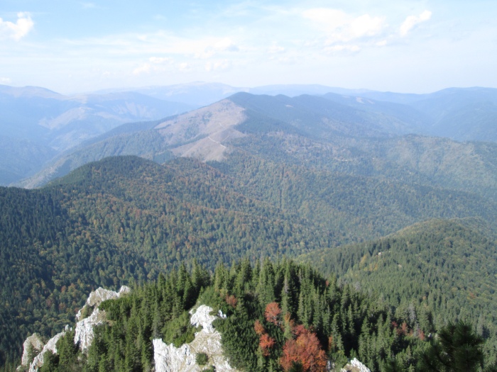 /lanturi/img_0446.jpg