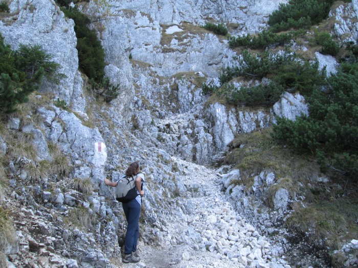 /lanturi/img_0448.jpg
