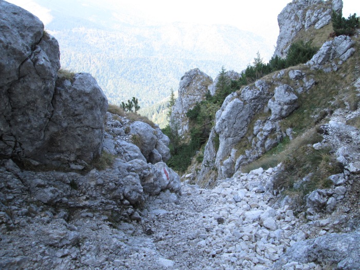 /lanturi/img_0451.jpg
