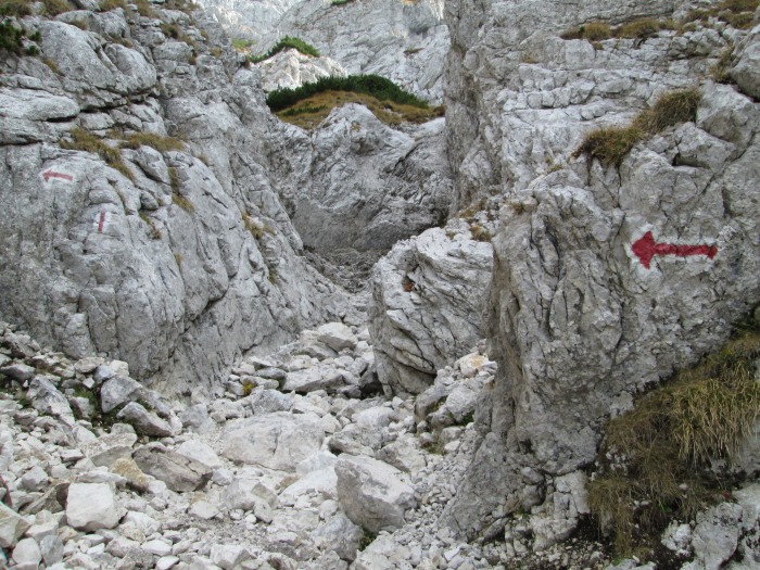 /lanturi/img_0488.jpg