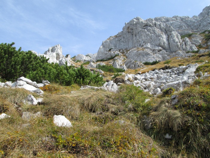 /lanturi/img_0496.jpg