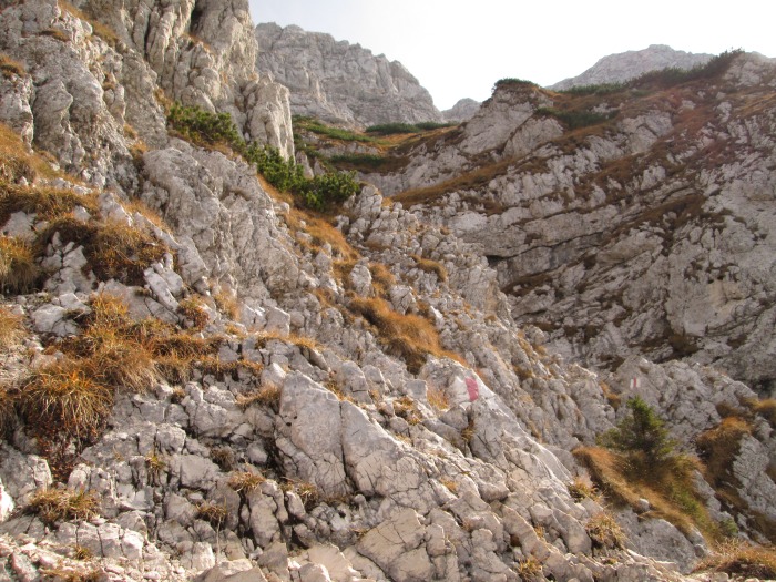 /lanturi/img_0499.jpg