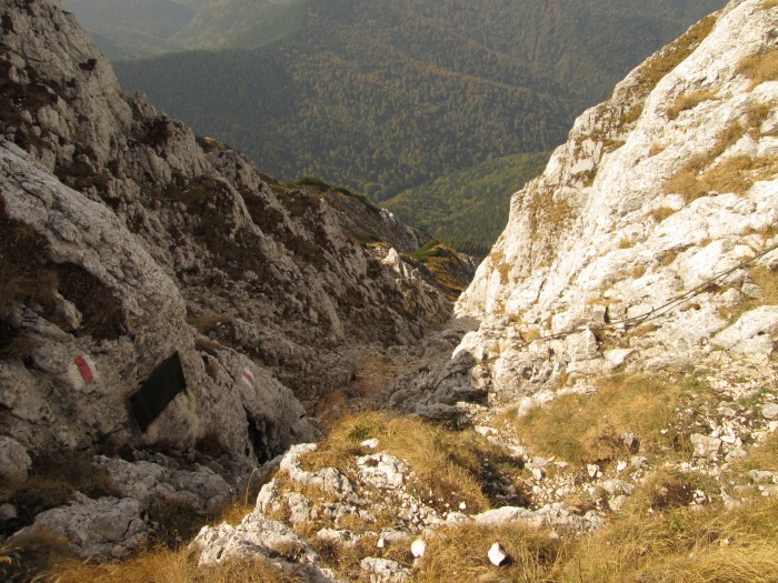 /lanturi/img_0545.jpg