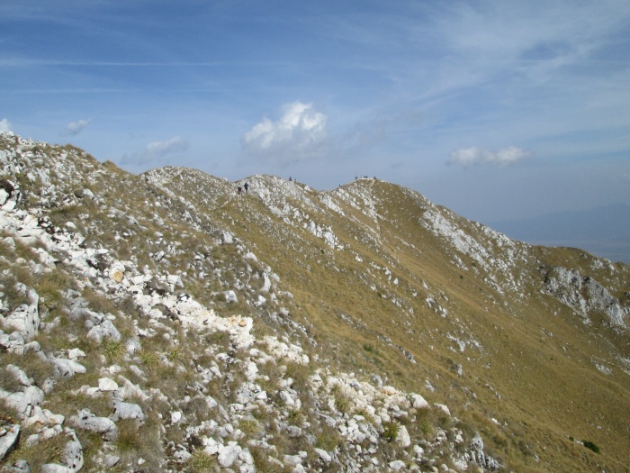 /lanturi/img_0557.jpg