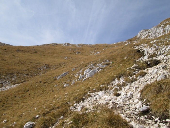 /lanturi/img_0582.jpg
