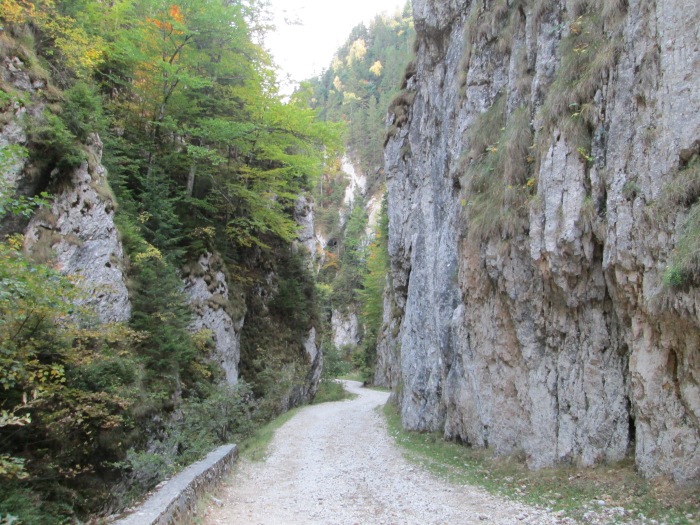/lanturi/img_0628.jpg