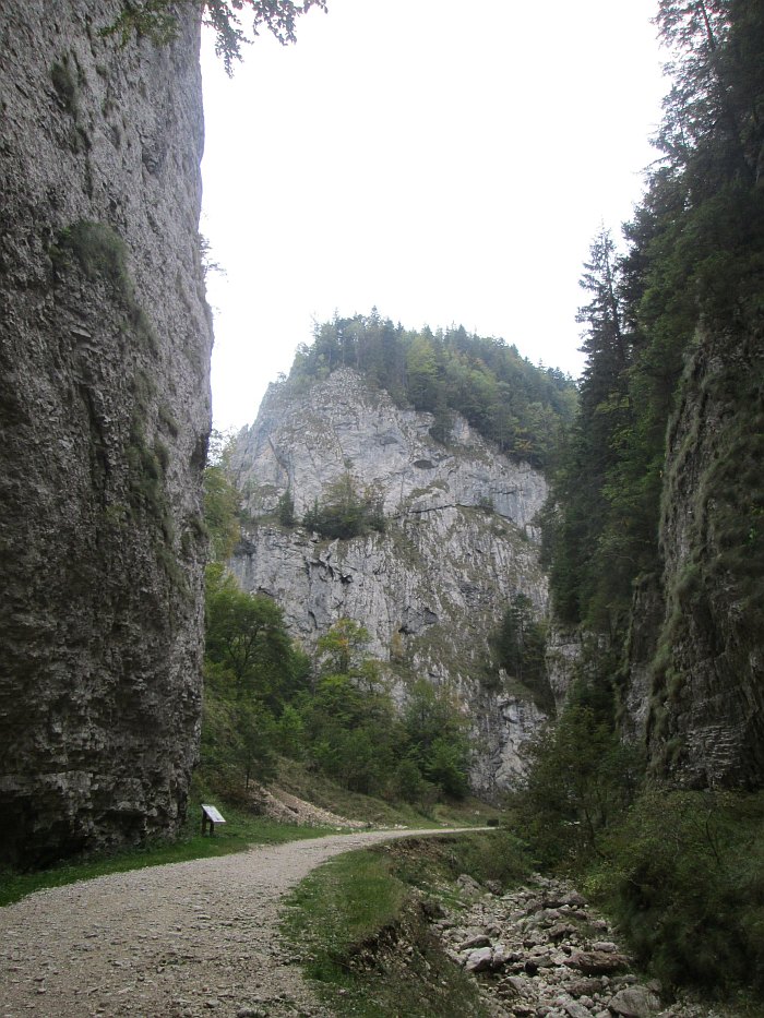 /martoiu/img_3098.jpg