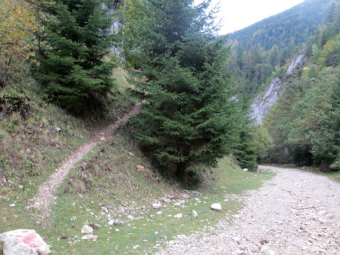 /martoiu/img_3099.jpg