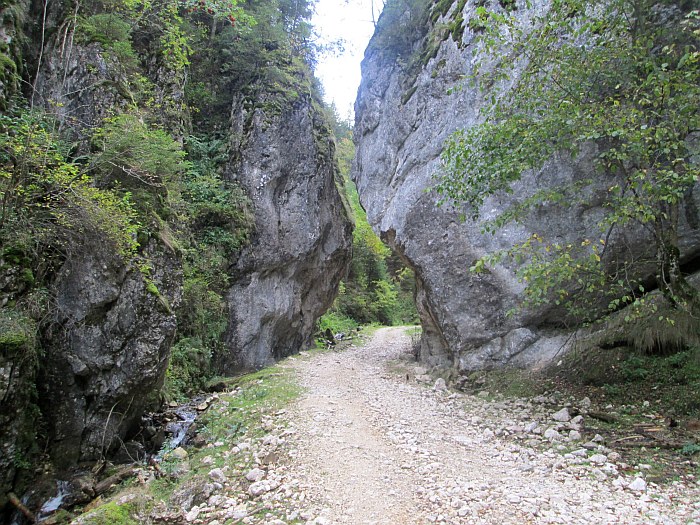 /martoiu/img_3104.jpg