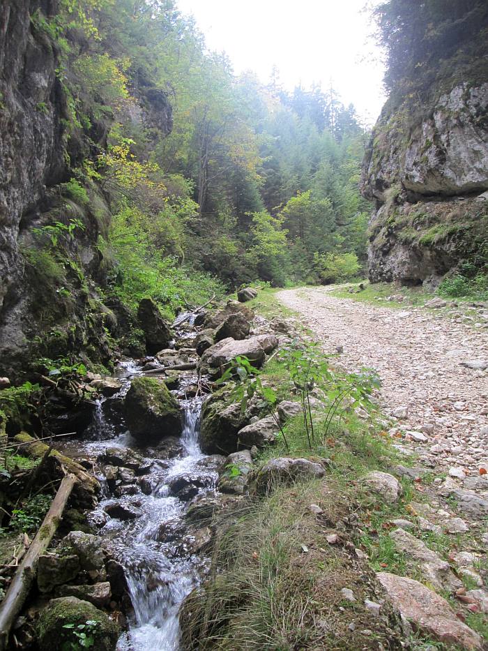 /martoiu/img_3105.jpg