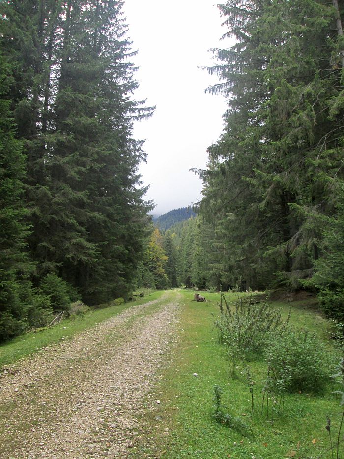 /martoiu/img_3108.jpg