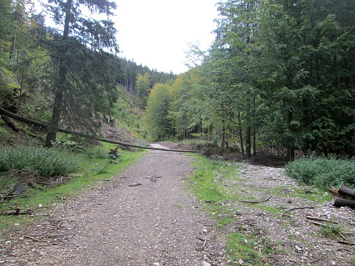 /martoiu/img_3111.jpg