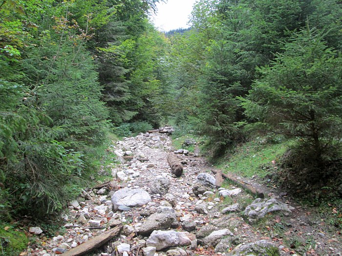 /martoiu/img_3114.jpg
