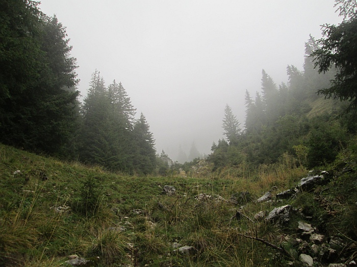 /martoiu/img_3148.jpg