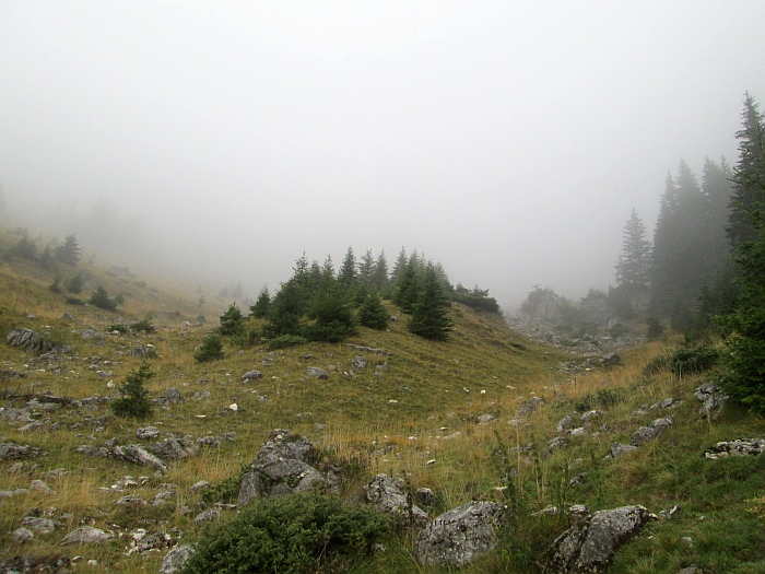 /martoiu/img_3163.jpg