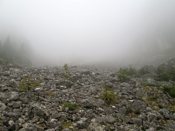 /martoiu/img_3166.jpg