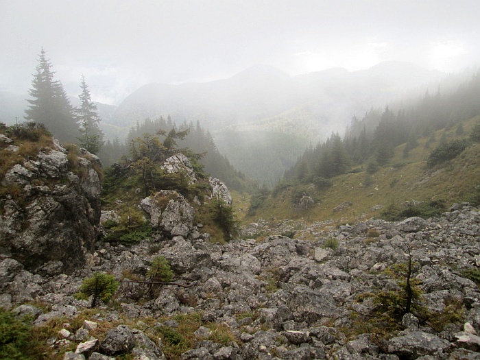 /martoiu/img_3167.jpg