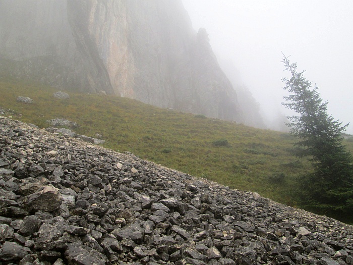 /martoiu/img_3171.jpg