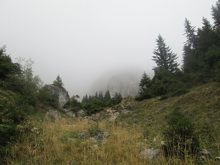 /martoiu/img_3251.jpg