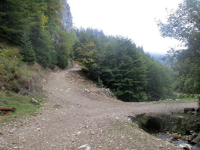 /martoiu/img_3289.jpg