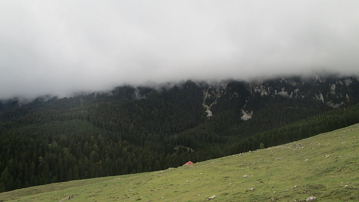 /martoiu/img_3310.jpg