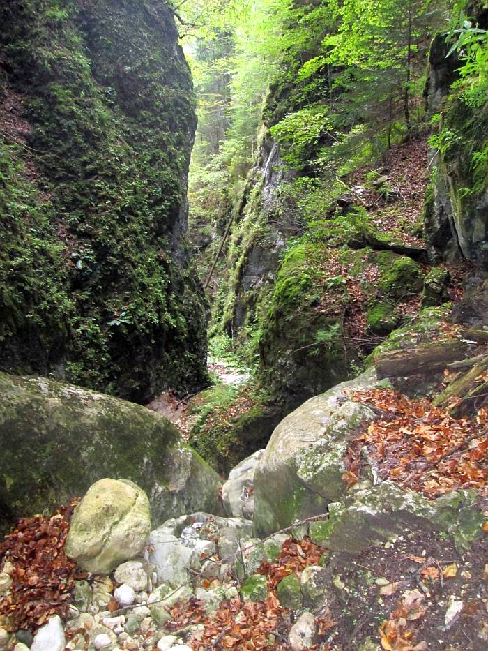 /martoiu/img_3331.jpg