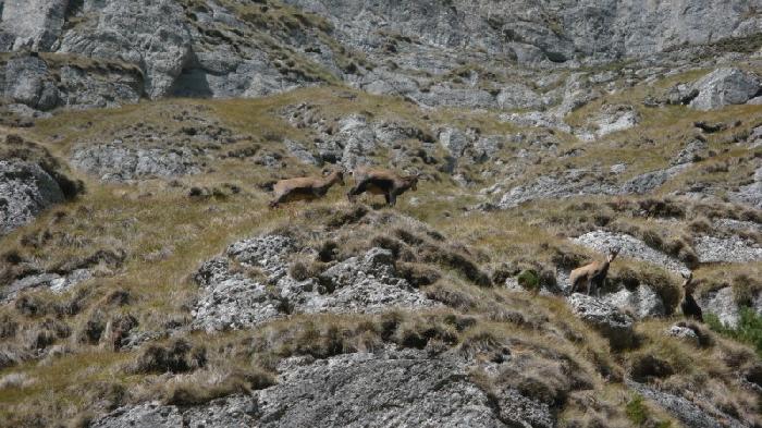 /morar_2/p1160975.jpg
