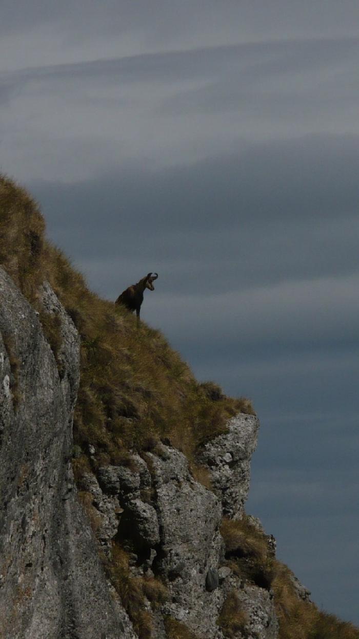 /morar_2/p1160988.jpg