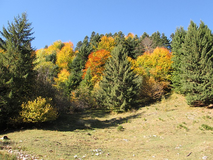 /piatra_mica_1/img_1129.jpg