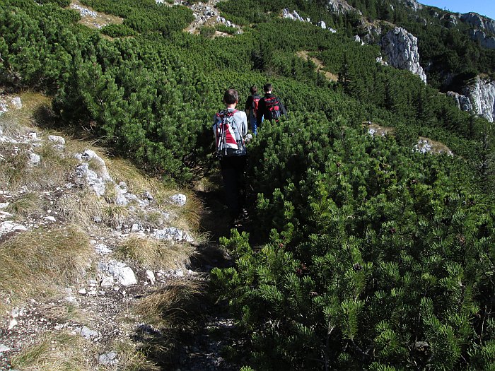 /piatra_mica_1/img_1203.jpg