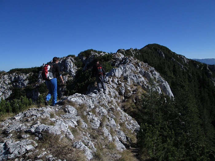 /piatra_mica_1/img_1218.jpg
