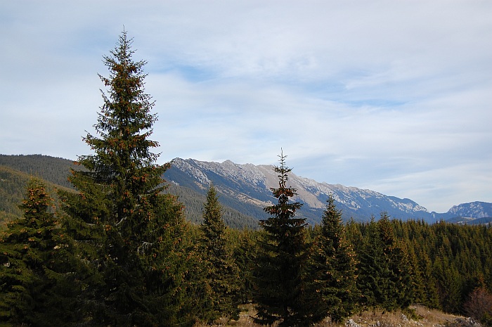 /ppc/dsc_0139.jpg