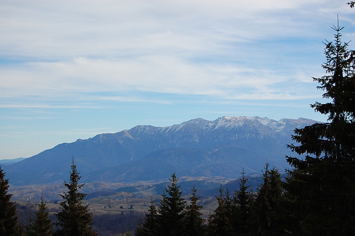 /ppc/dsc_0146.jpg