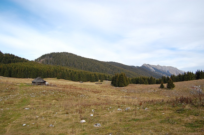 /ppc/dsc_0148.jpg