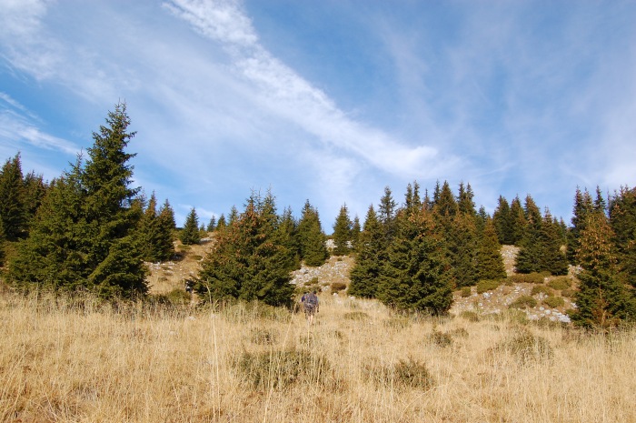 /ppc/dsc_0173.jpg