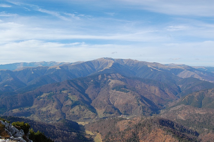/ppc/dsc_0175.jpg