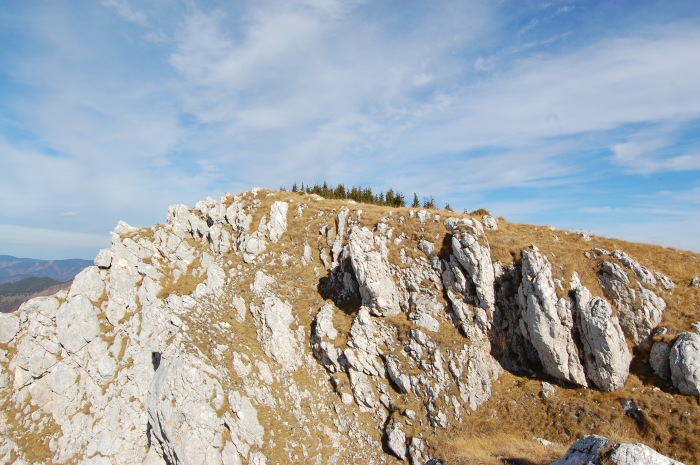 /ppc/dsc_0193.jpg